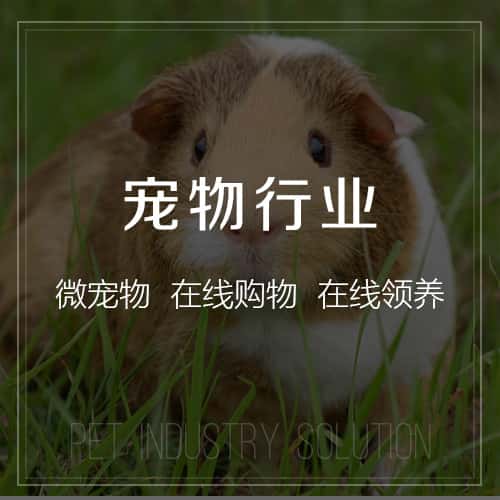延安宠物