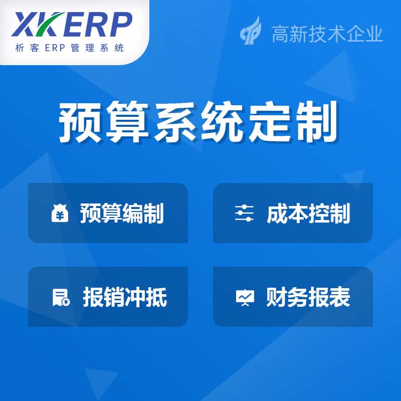 延安财务预算管理系统